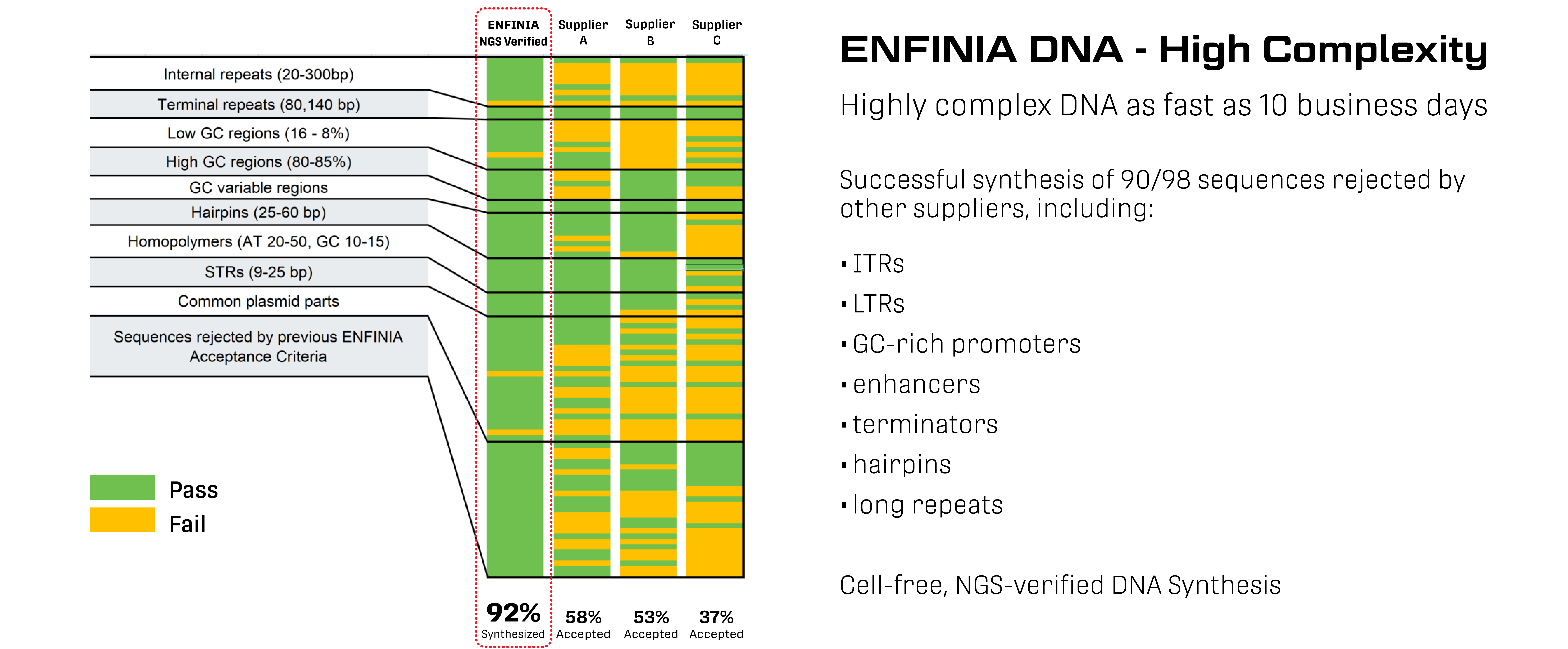 figure very complex DNA synthesis chart