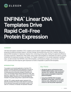 Application Note: Linear DNA Templates Drive Rapid Cell-Free Protein Expression