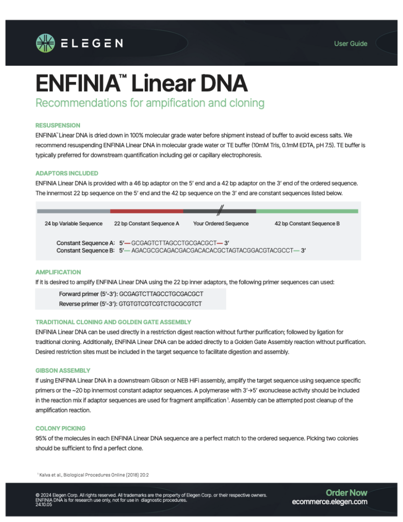 Amplification and Cloning Guide