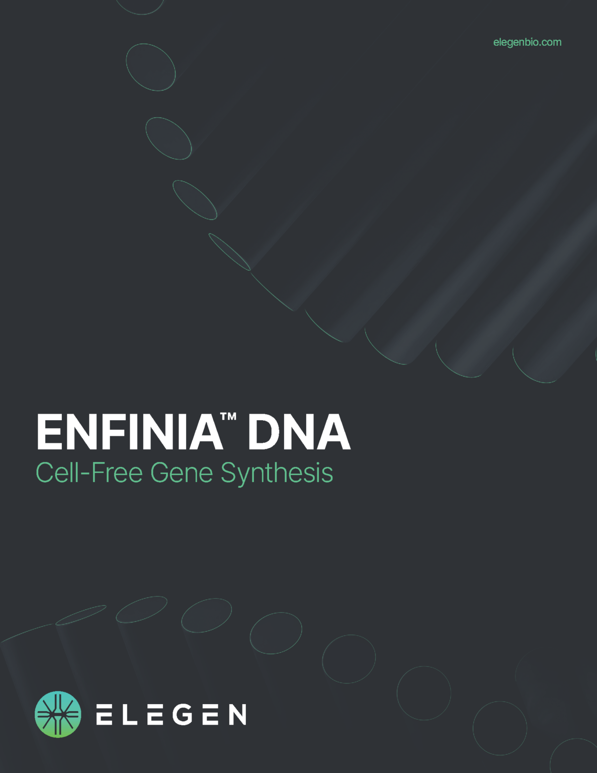 ENFINIA™ Linear DNA - Elegen