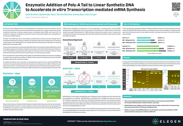 Enzymatic Addition of Poly-A Tail to Linear Synthetic DNA to Accelerate in vitro Transcription-mediated...