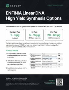 ENFINIA™ Linear DNA High Yield Linear Synthesis Options