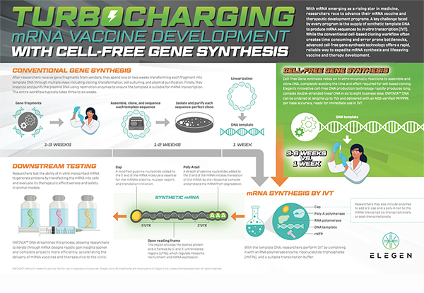 Turbocharging mRNA Vaccine Development