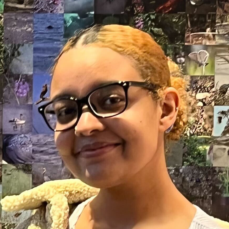 Bemesgana Alemu