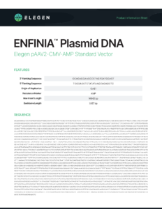 pAAV2-CMV-AMP Standard Vector Info Sheet