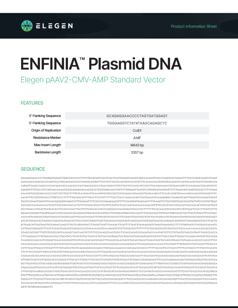 pAAV2-CMV-AMP Standard Vector Info Sheet
