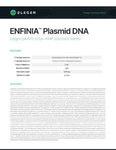 pAAV2-hSyn-AMP Standard Vector Info Sheet