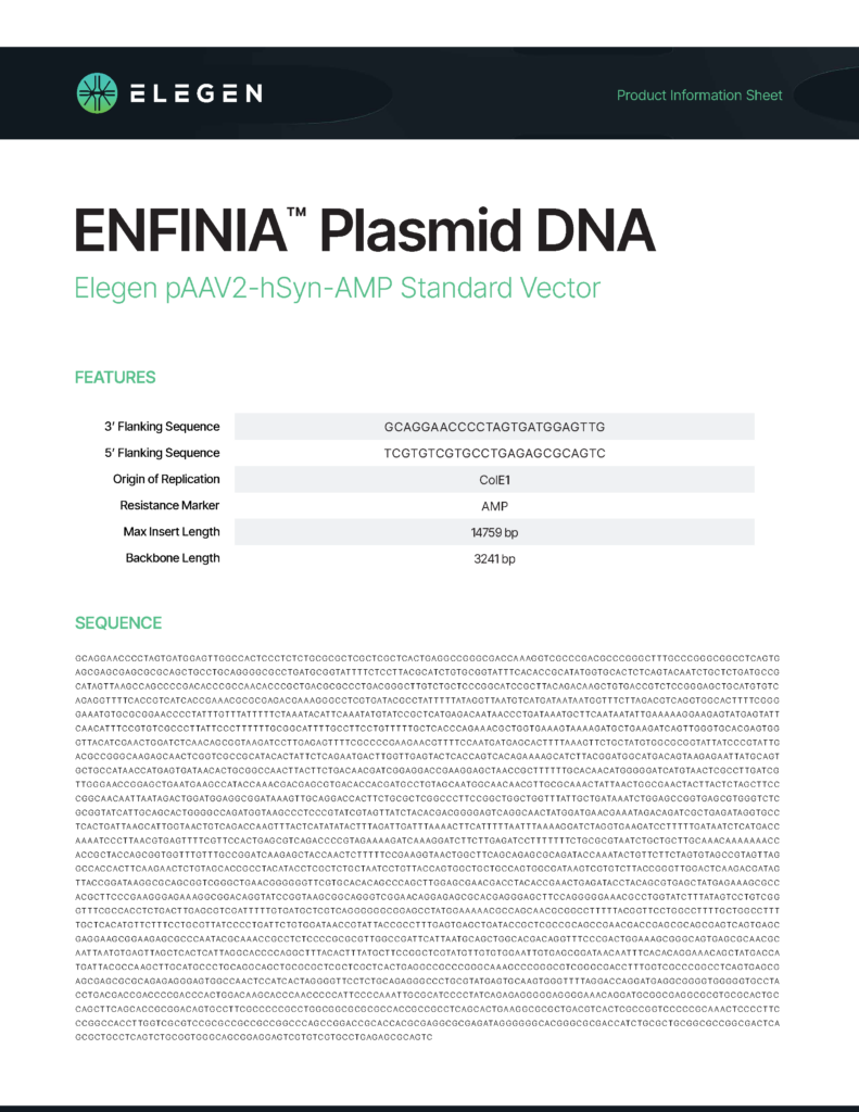 pAAV2-hSyn-AMP Standard Vector Info Sheet