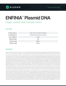 psaRNA-AMP Standard Vector Info Sheet