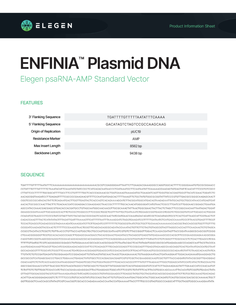 psaRNA-AMP Standard Vector Info Sheet