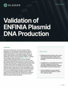 Application Note: Validation of ENFINIA Plasmid DNA Production