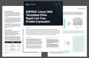 Application Note - Rapid Cell-Free Protein Expression with ENFINIA™ Linear DNA