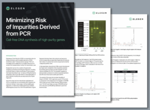 Application Note: Minimizing the Risk of Impurities Derived from PCR