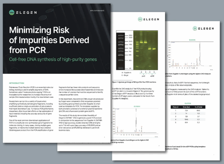 Application Note: Minimizing the Risk of Impurities Derived from PCR ...