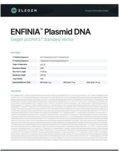 pcDNA3.1  Standard Vector Info Sheet​