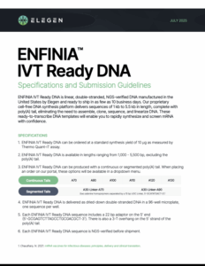 Specifications and Submission Guidelines for ENFINIA IVT Ready DNA Synthesis