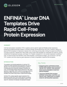 Application Note - Rapid Cell-Free Protein Expression with ENFINIA™ Linear DNA