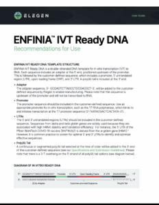 ENFINIA™ IVT Ready DNA User Guide
