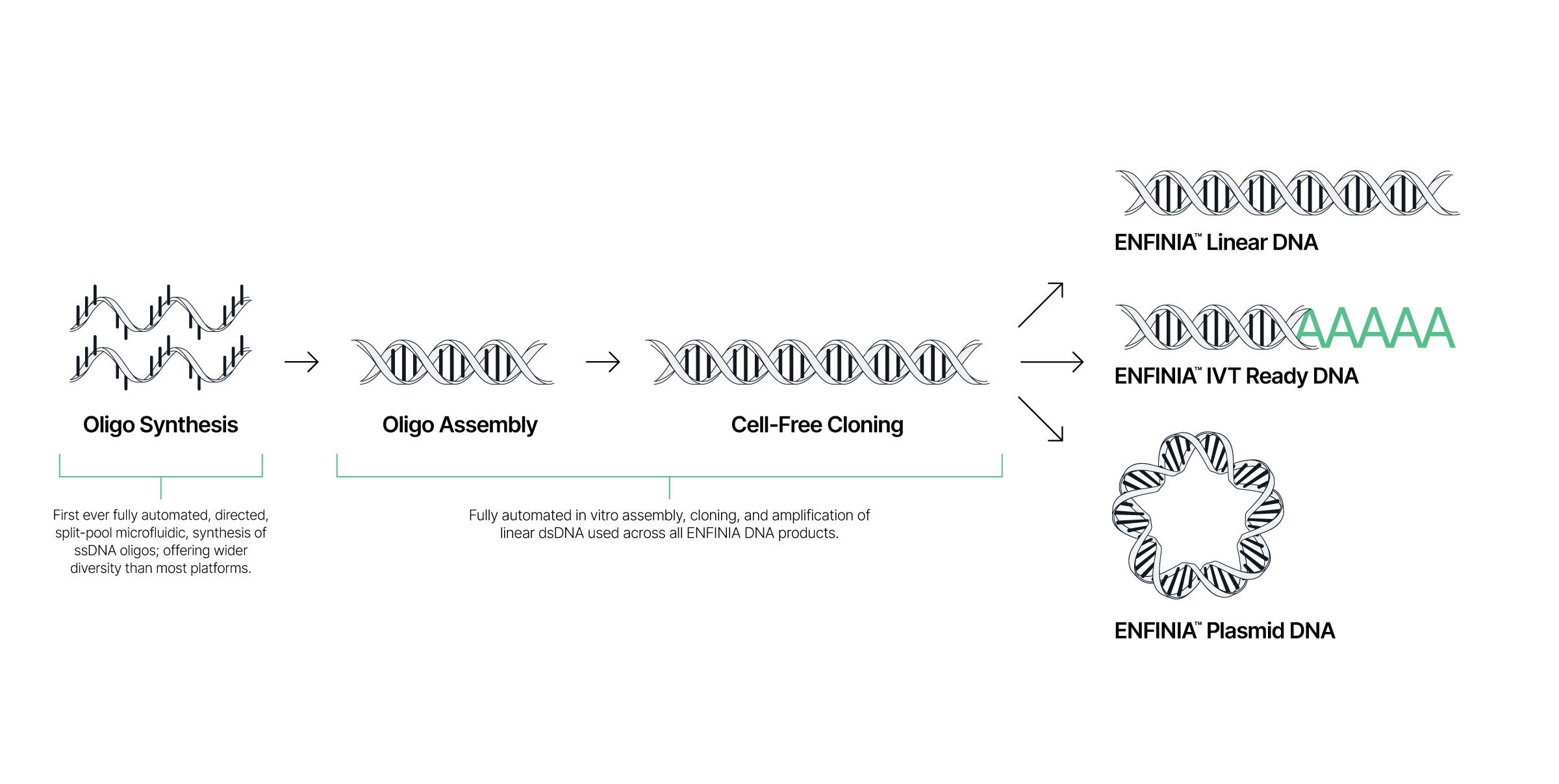 Tech Process Infographic_R1 - Elegen
