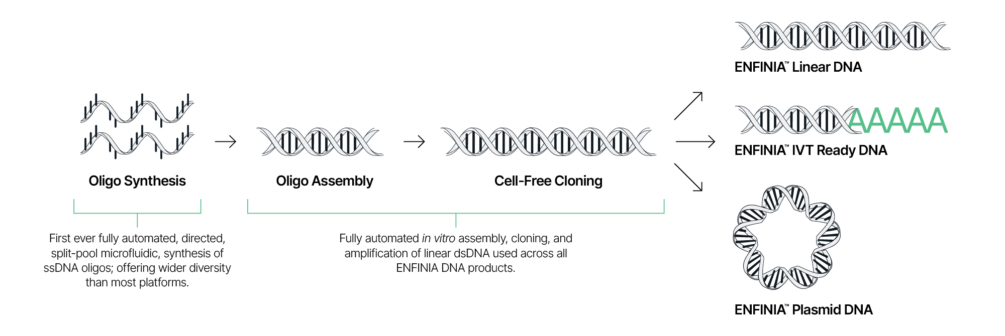 Tech Process Infographic_R3 - Elegen