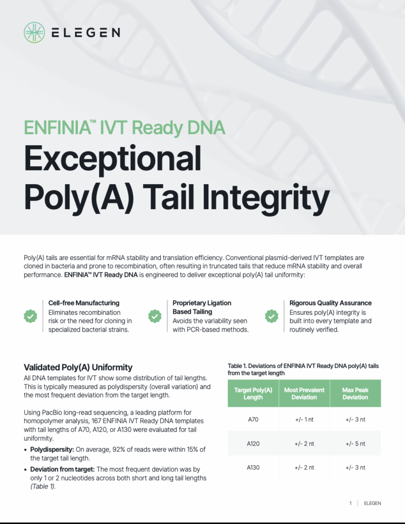 Flyer - Validated Poly(A) Tail Quality
