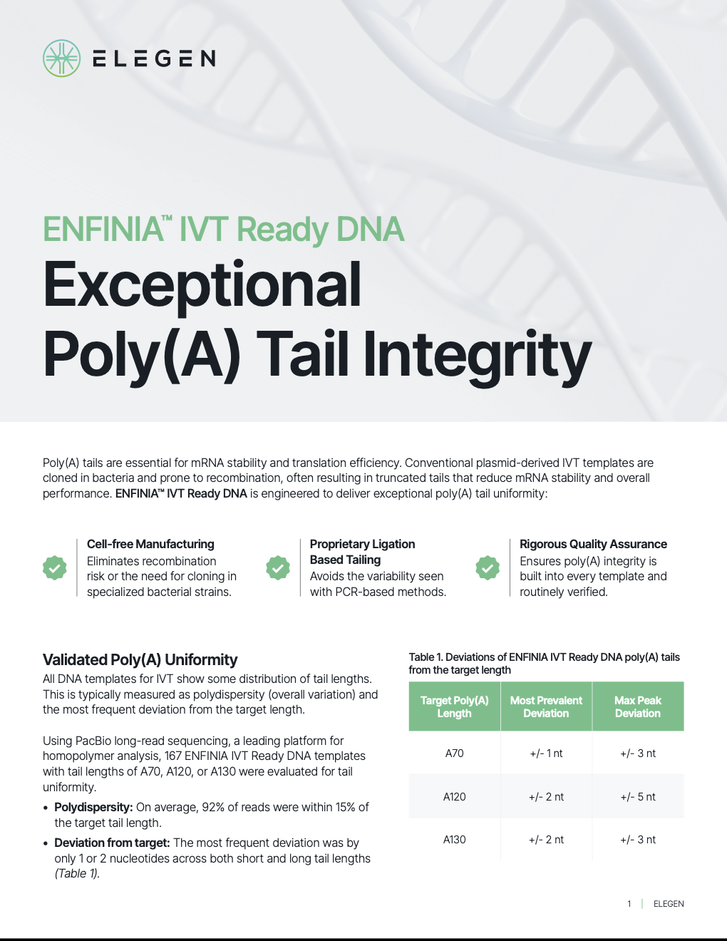 Flyer - Validated Poly(A) Tail Quality