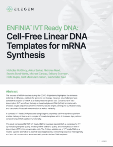 Whitepaper - ENFINIA IVT Ready DNA - Cell-Free Linear DNA Templates for mRNA Synthesis