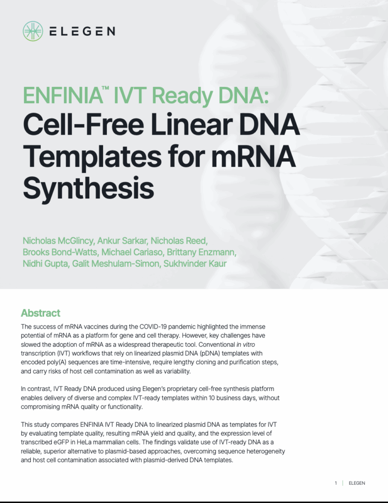 White Paper - Vector Builder - IVT mRNA templates