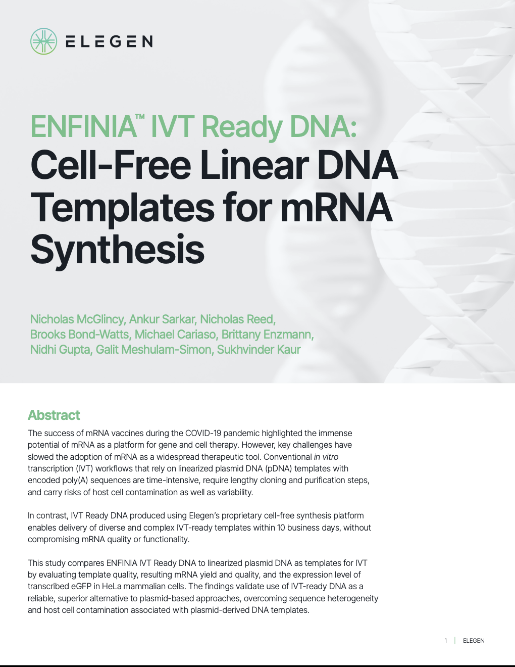 White Paper - Vector Builder - IVT mRNA templates