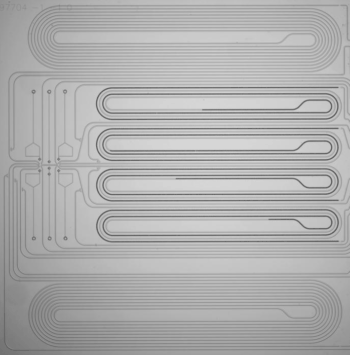 Microfluidic chip can efficiently build a diverse array of oligos in parallel.