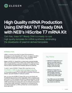 High Quality mRNA Production Using ENFINIA™ IVT Ready DNA with NEB’s HiScribe T7 mRNA Kit