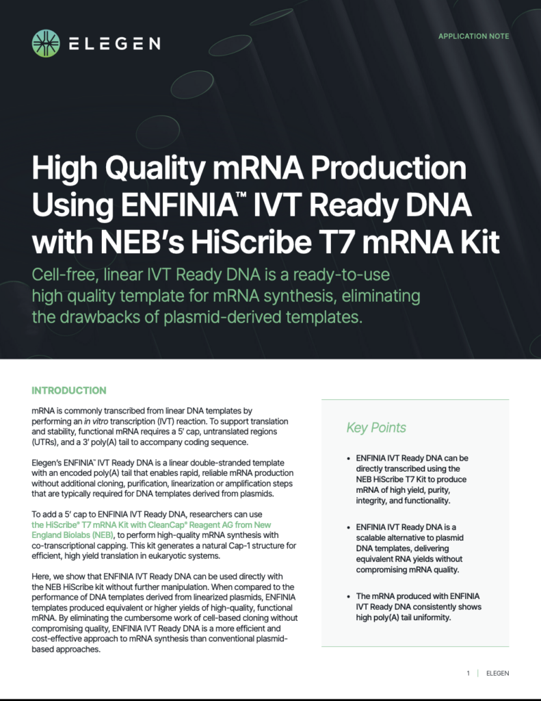 The application note demonstrates that Elegen's ENFINIA IVT Ready DNA is a high-quality, efficient, and cost-effective alternative to plasmid-derived DNA for mRNA synthesis using NEB's HiScribe T7 mRNA Kit, yielding equivalent or higher quality mRNA.