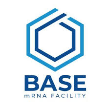 BASE mRNA Facility logo: a blue geometric hexagon emblem above the words 'BASE' and 'mRNA FACILITY' in blue.