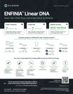 Introduction to ENFINIA™ Linear DNA